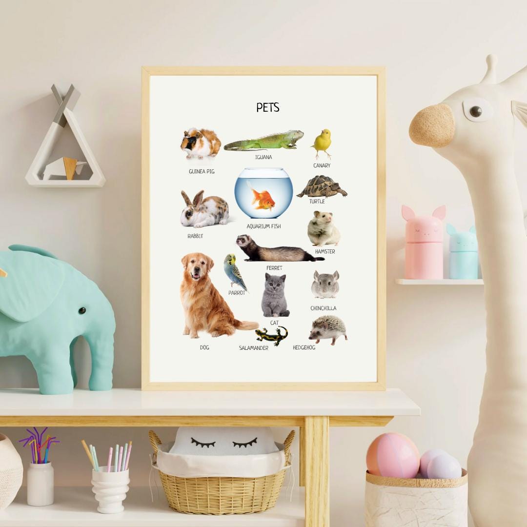 Pets Poster, Animals Wall Art, Montessori Material, Kids Wall Print Poster, Classroom Decor