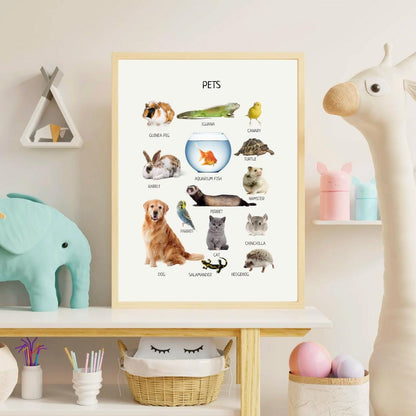 Pets Poster, Animals Wall Art, Montessori Material, Kids Wall Print Poster, Classroom Decor