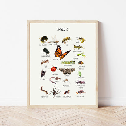 Insects Educational Poster, Montessori Poster, Kids Wall Print Poster, Classroom Decor