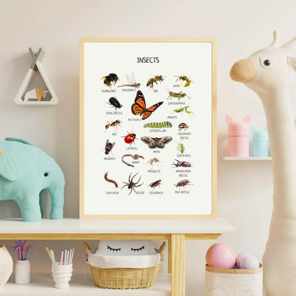 Insects Educational Poster, Montessori Poster, Kids Wall Print Poster, Classroom Decor