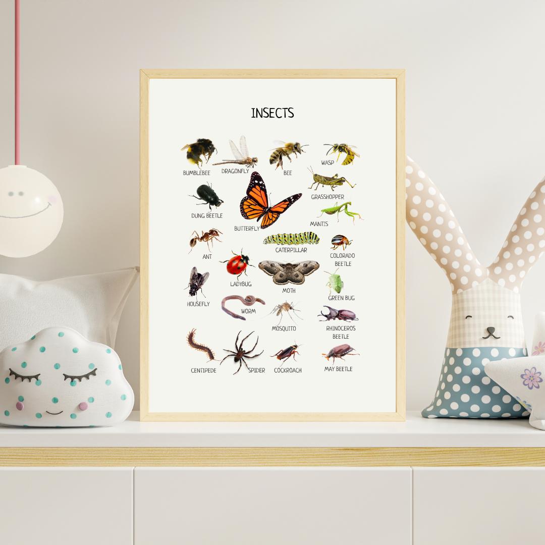 Insects Educational Poster, Montessori Poster, Kids Wall Print Poster, Classroom Decor