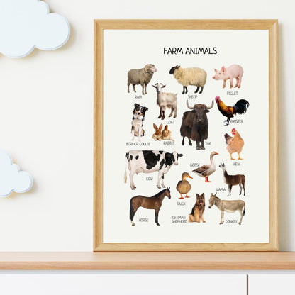 Farm Animals Educational Poster, Montessori Print, Domestic Animals, Classroom Decor, Printable Wall Art, Nursery Decor, FRAME NOT INCLUDED