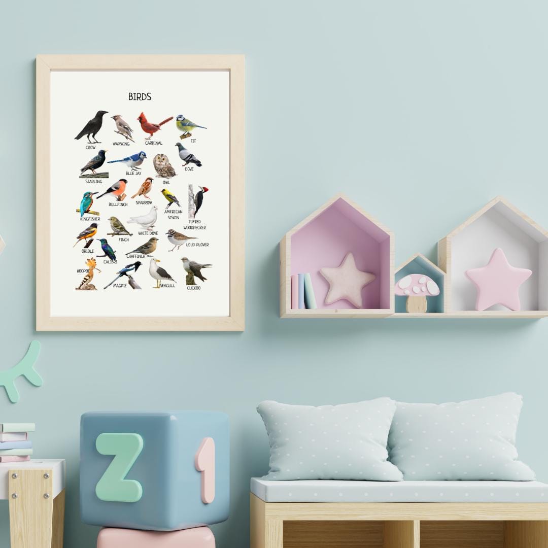 Birds Poster, Educational Poster, Montessori Printable Wall Art, Common Birds Poster, Classroom Decor