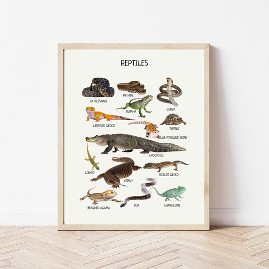 Reptiles Educational Poster, Montessori Printable Wall Art, Amphibians Poster, Classroom Decor, Nursery Room Decor, FRAME NOT INCLUDED