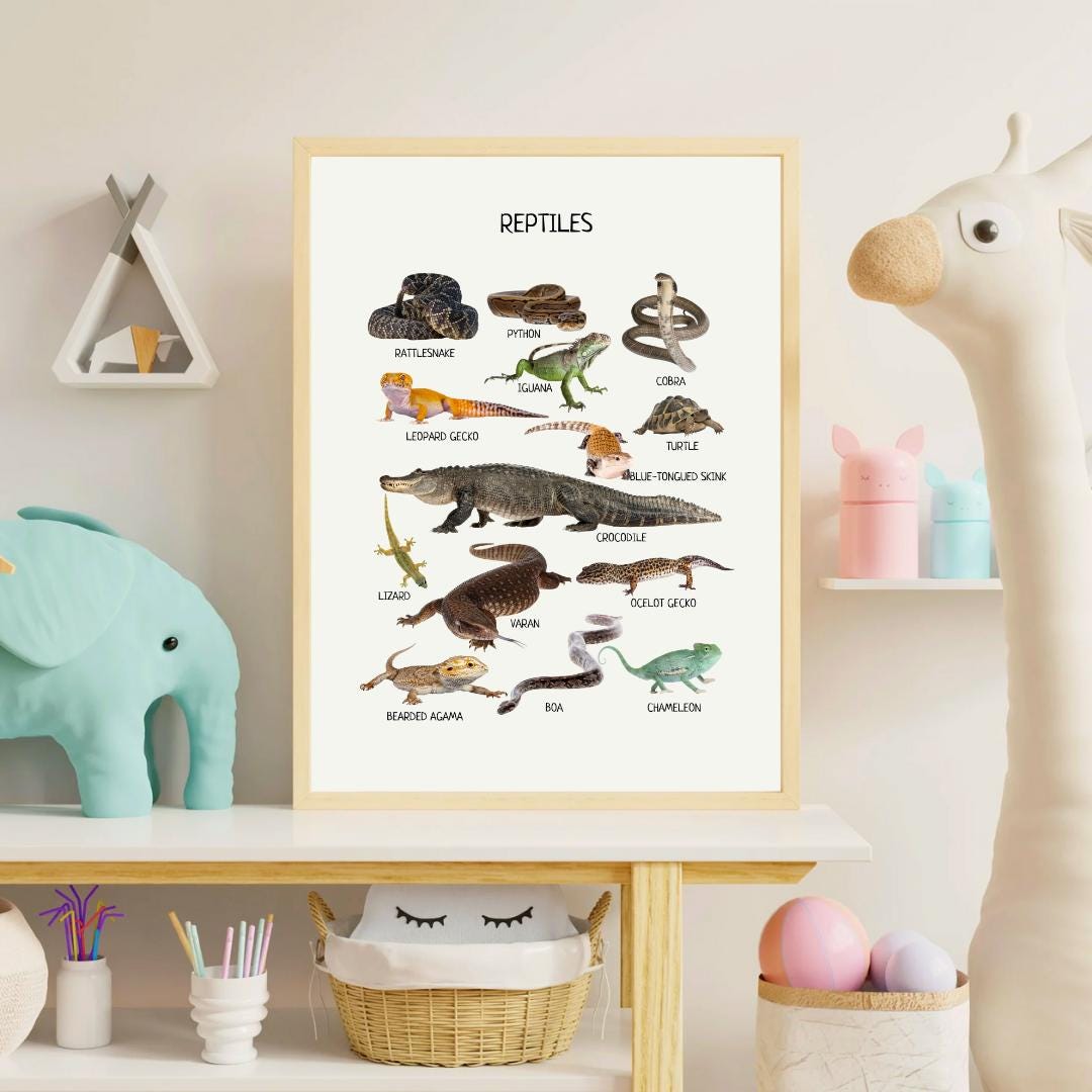 Reptiles Educational Poster, Montessori Printable Wall Art, Amphibians Poster, Classroom Decor, Nursery Room Decor, FRAME NOT INCLUDED