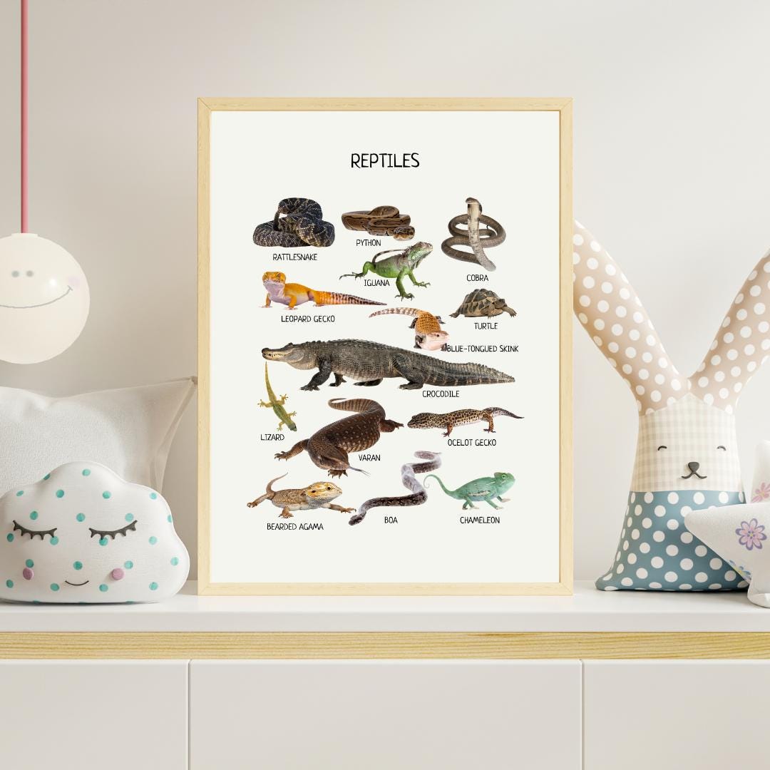 Reptiles Educational Poster, Montessori Printable Wall Art, Amphibians Poster, Classroom Decor, Nursery Room Decor, FRAME NOT INCLUDED