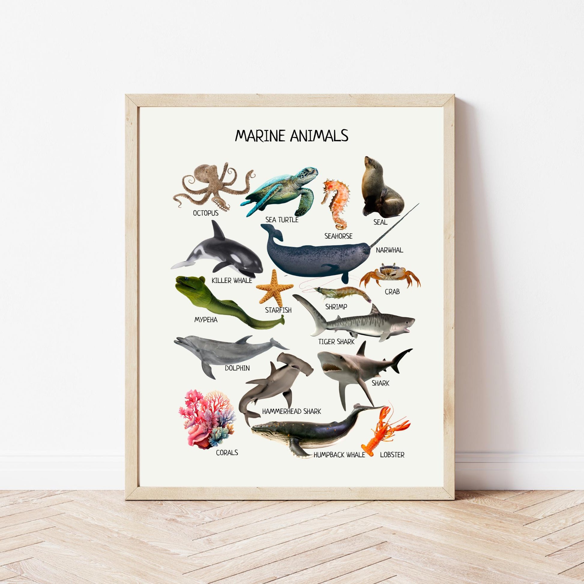 Marine Animals Educational Poster, Montessori Wall Art, Marine Life Poster, Classroom Decor