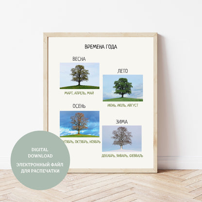 Обучающий плакат "Времена года" | Seasons Educational Poster, Various Sizes Available for Download | Montessori Learning Printable Poster