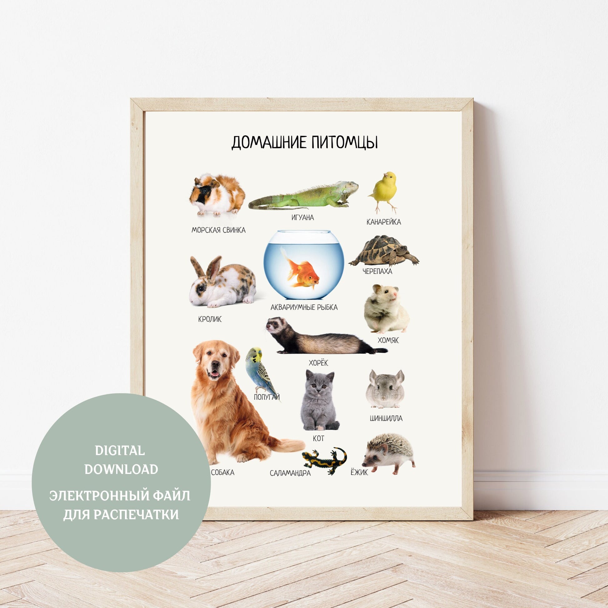 Обучающий плакат "Домашние питомцы" | Pets Educational Poster in Russian, Montessori Learning Poster, Kids Room Decor, Printable