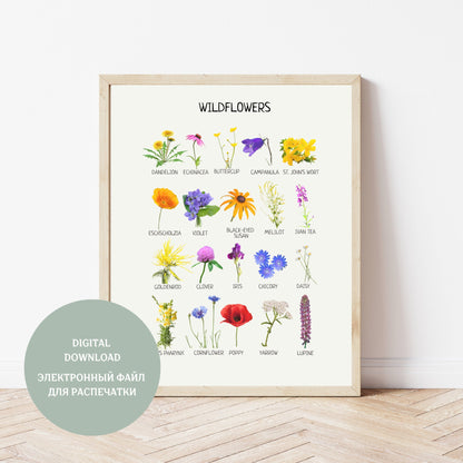 Wildflowers Poster, Educational Nature Poster, Flower Poster, Nursery Wall Art