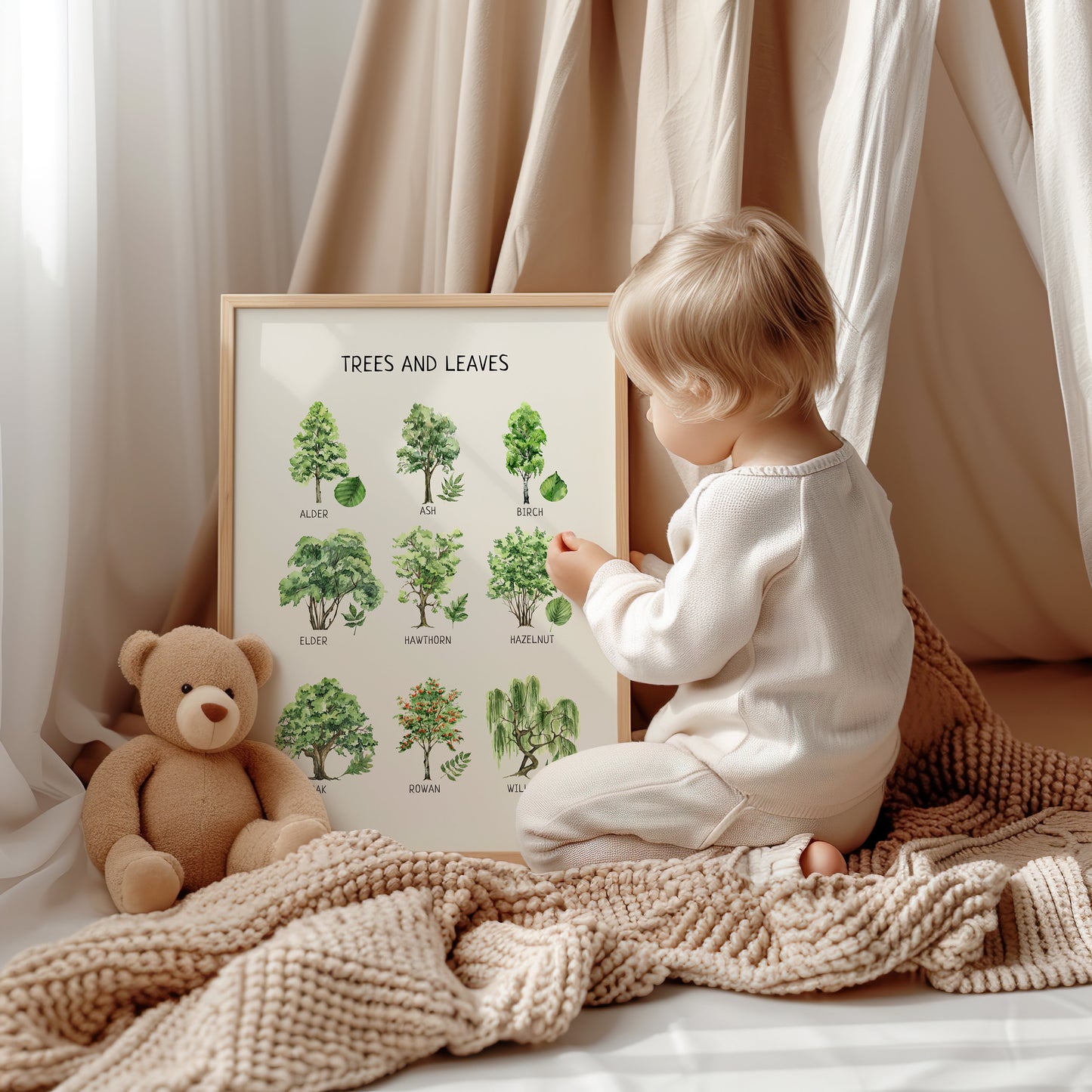 Trees and Leaves Educational Poster, Montessori Poster, Homeschool Decor