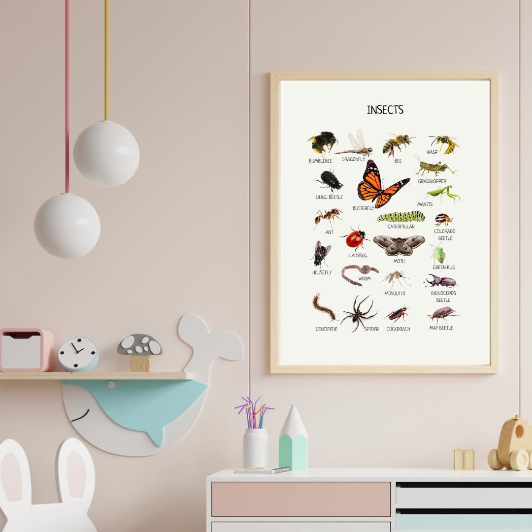 Insects Educational Posters, Classroom Posters, Printable Wall Art, Montessori Decor