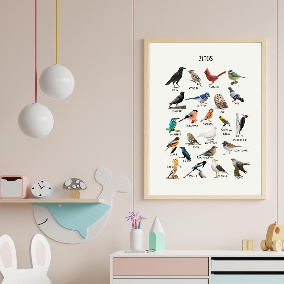 Educational Birds Poster, Common Birds Print, Printable Wall Art, Montessori Homeschool Decor, Nature Classroom Decor, DIGITAL DOWNLOAD