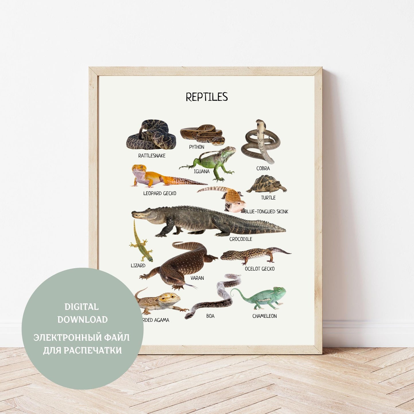 Reptiles Amphibians Montessori Educational Poster, Animal Poster, Toddler Room Decor