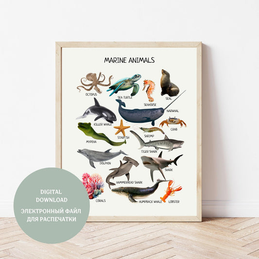 Marine Animals Poster, Under the Sea Print, Educational Ocean Species, Nursery Playroom Decor