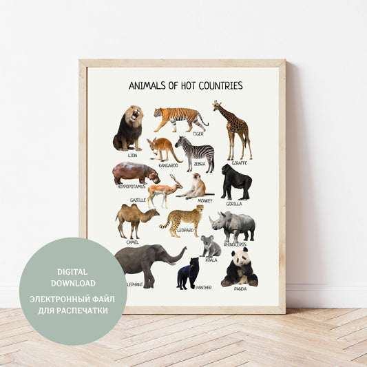 Animals of Hot Countries Poster, Montessori Printable Animal Decor