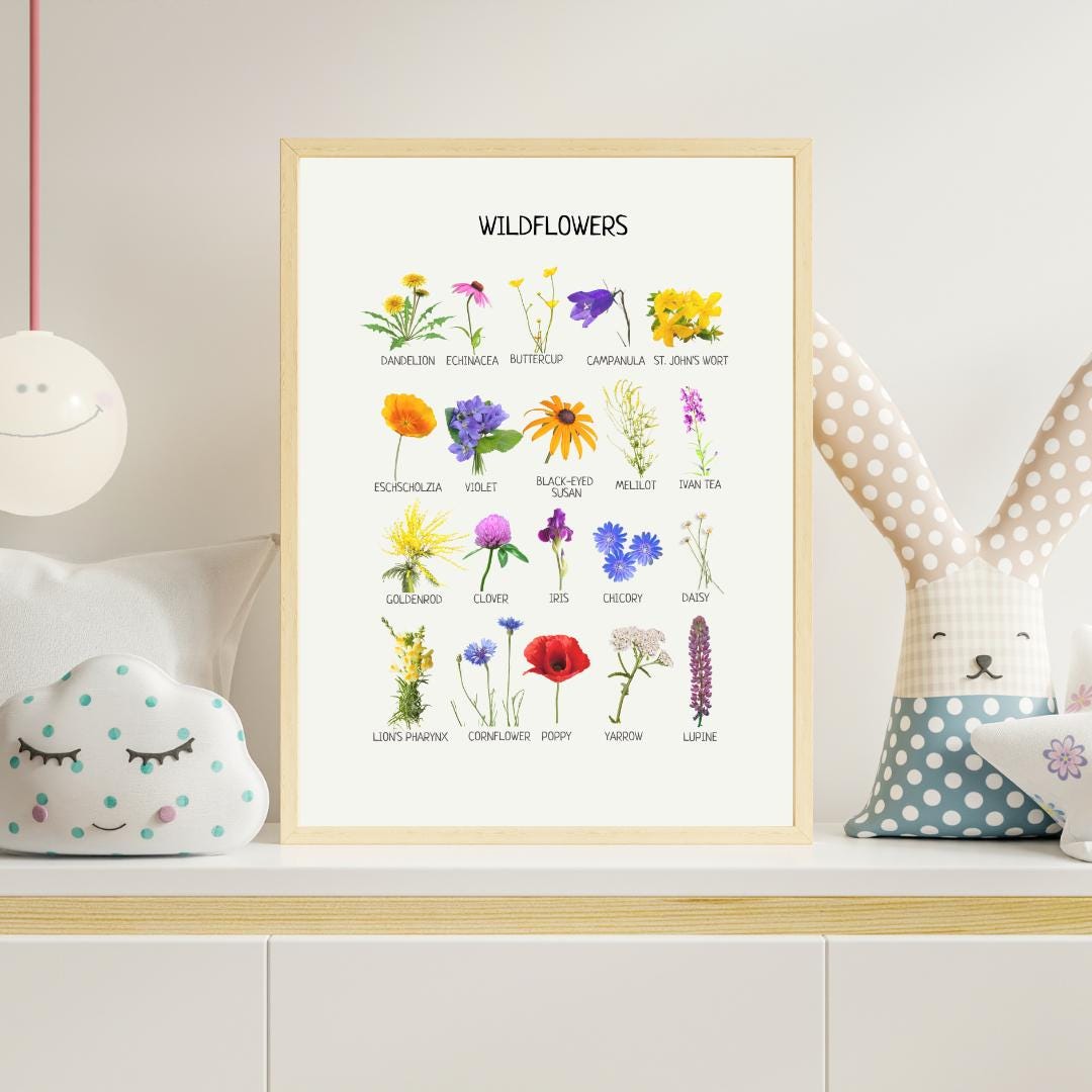 Wildflowers Educational Poster, Flowers Wall Art, Montessori Printable Poster