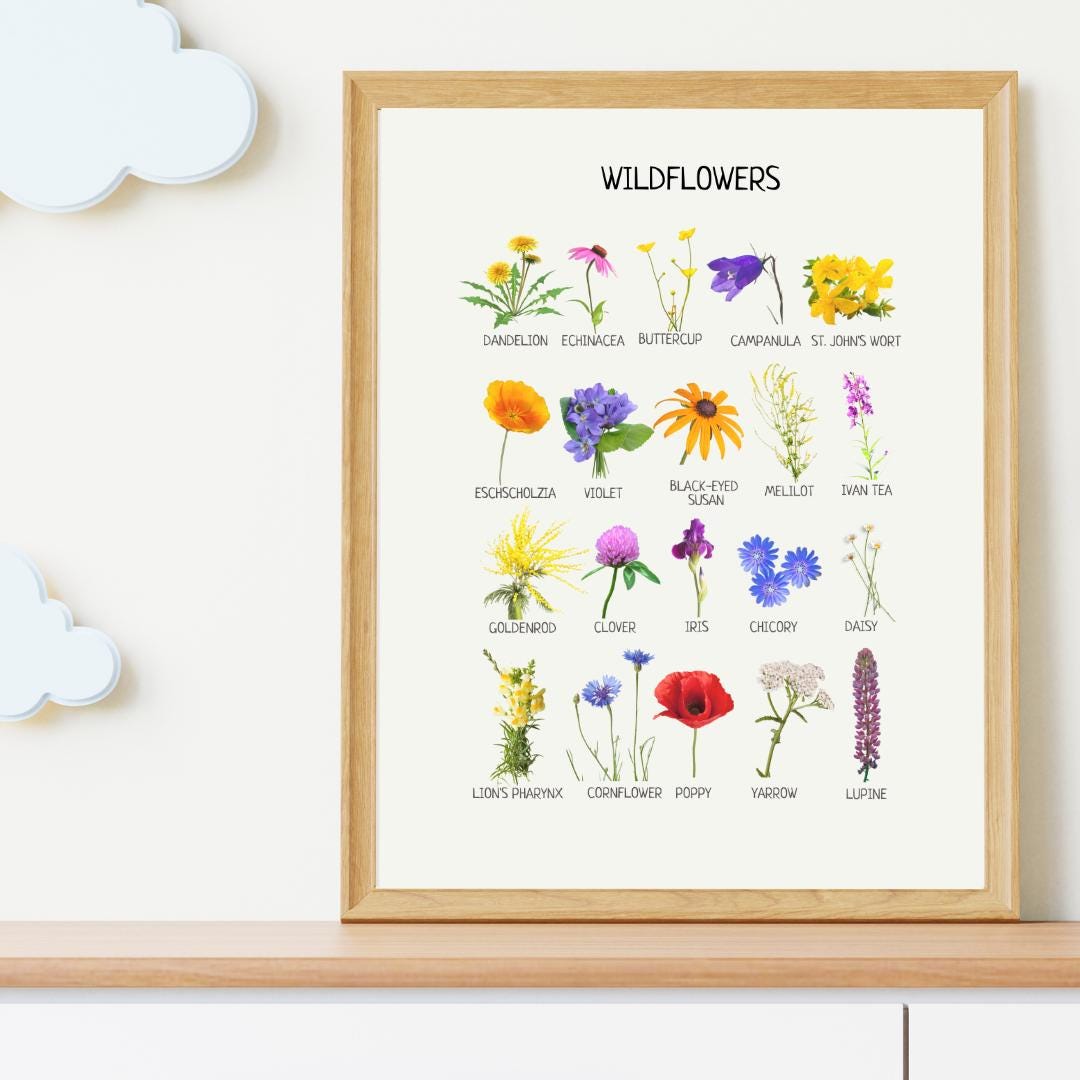 Wildflowers Educational Poster, Flowers Wall Art, Montessori Printable Poster, Classroom Decor, Nursery Room Decor, FRAME NOT INCLUDED