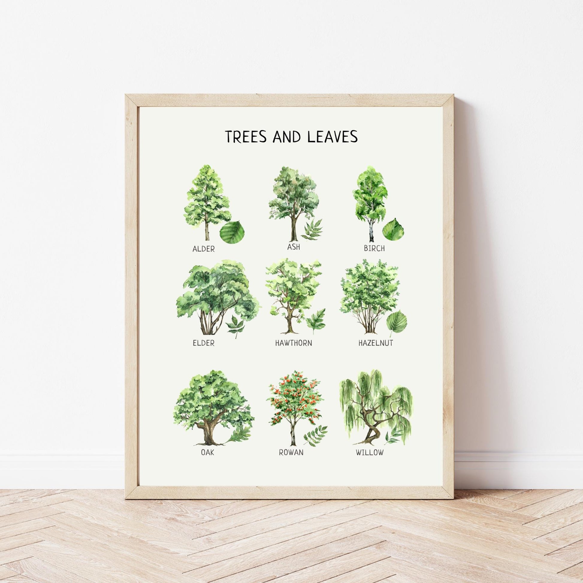 Educational Trees & Leaves Poster, Printable Wall Decor, Nature Poster