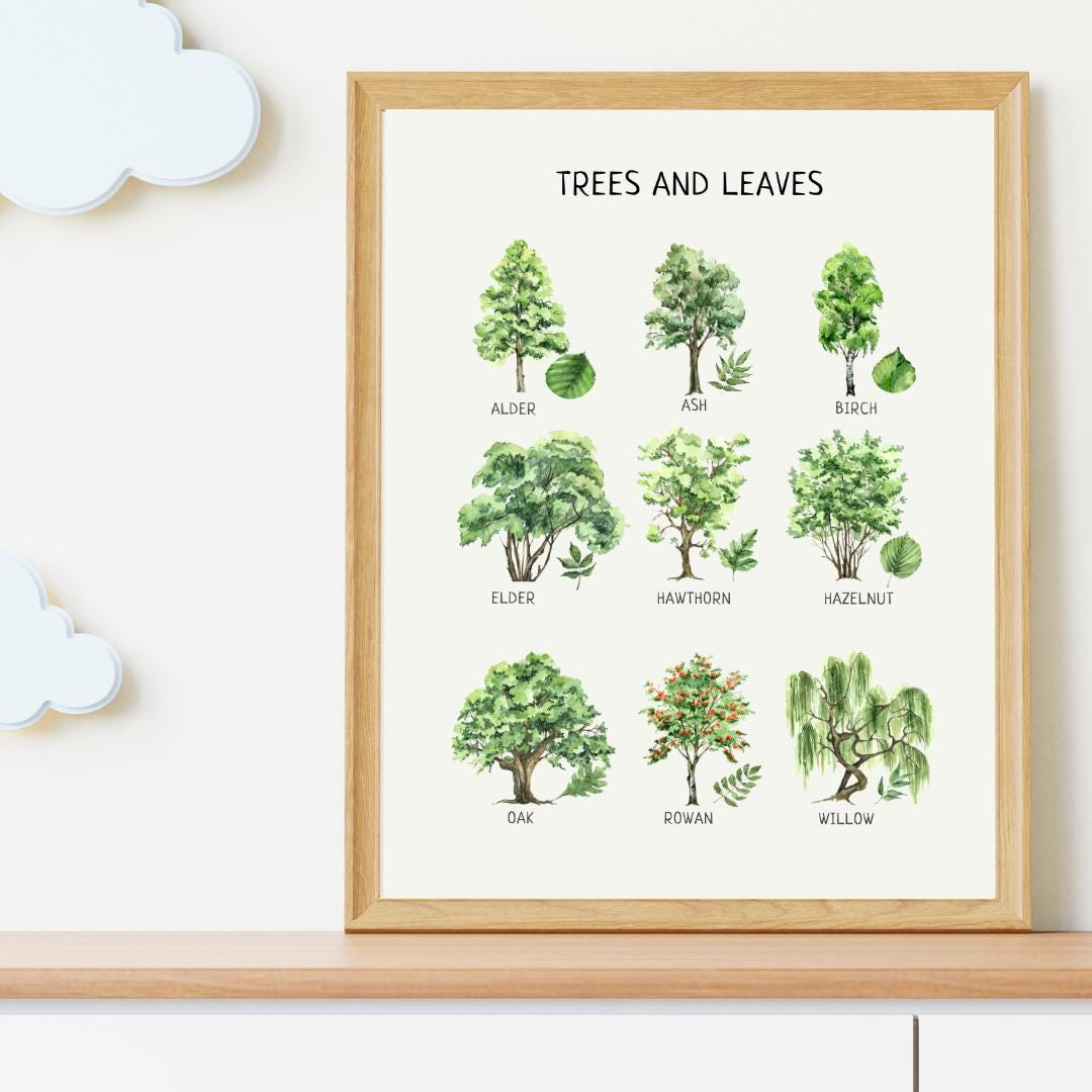 Educational Trees & Leaves Poster, Printable Wall Decor, Nature Poster