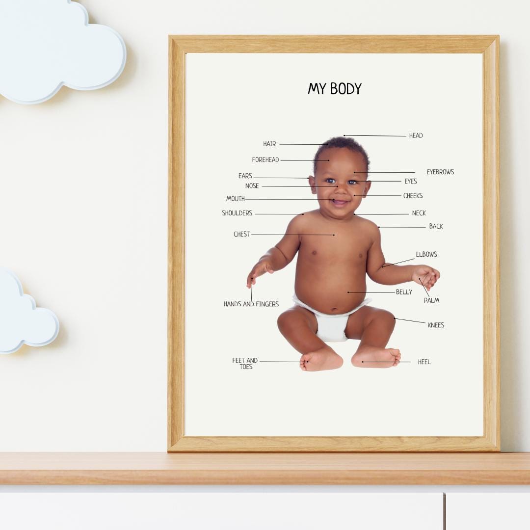 My Body Poster, Educational Kids Wall Decor, My Body Baby Parts, Montessori Homeschool Decor, Nursery Room Decor, FRAME NOT INCLUDED