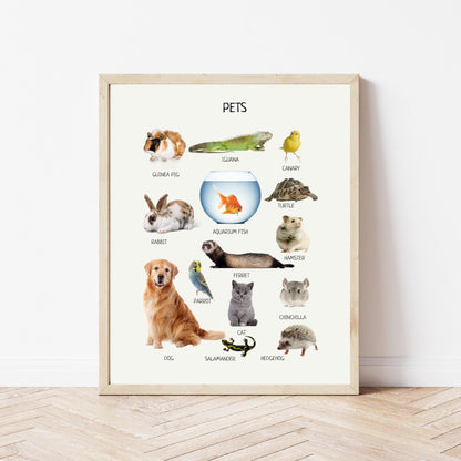 Pets Poster, Animals Wall Art, Montessori Material, Kids Wall Print Poster, Classroom Decor