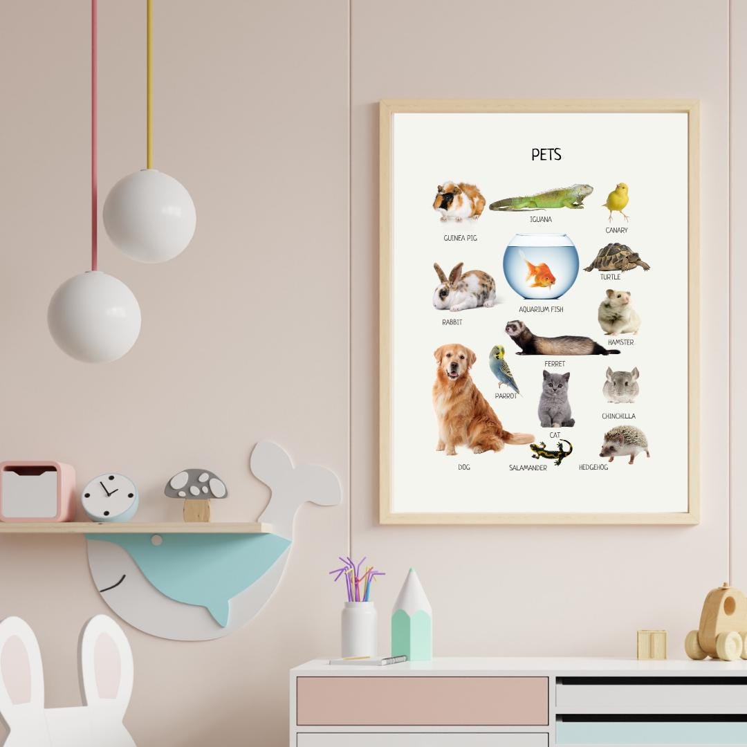 Pets Poster, Animals Wall Art, Montessori Material, Kids Wall Print Poster, Classroom Decor