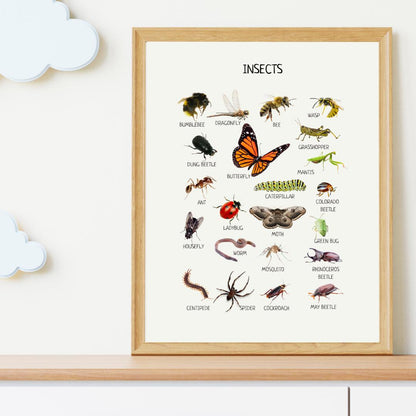 Insects Educational Poster, Montessori Poster, Kids Wall Print Poster, Classroom Decor