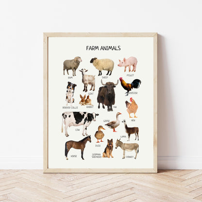 Farm Animals Educational Poster, Montessori Print, Domestic Animals, Classroom Decor