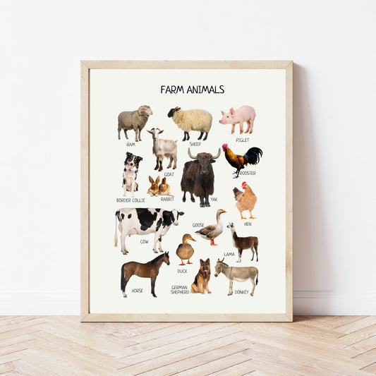 Farm Animals Educational Poster, Montessori Print, Domestic Animals, Classroom Decor