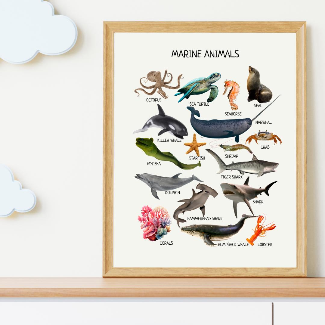 Marine Animals Educational Poster, Montessori Wall Art, Marine Life Poster, Classroom Decor