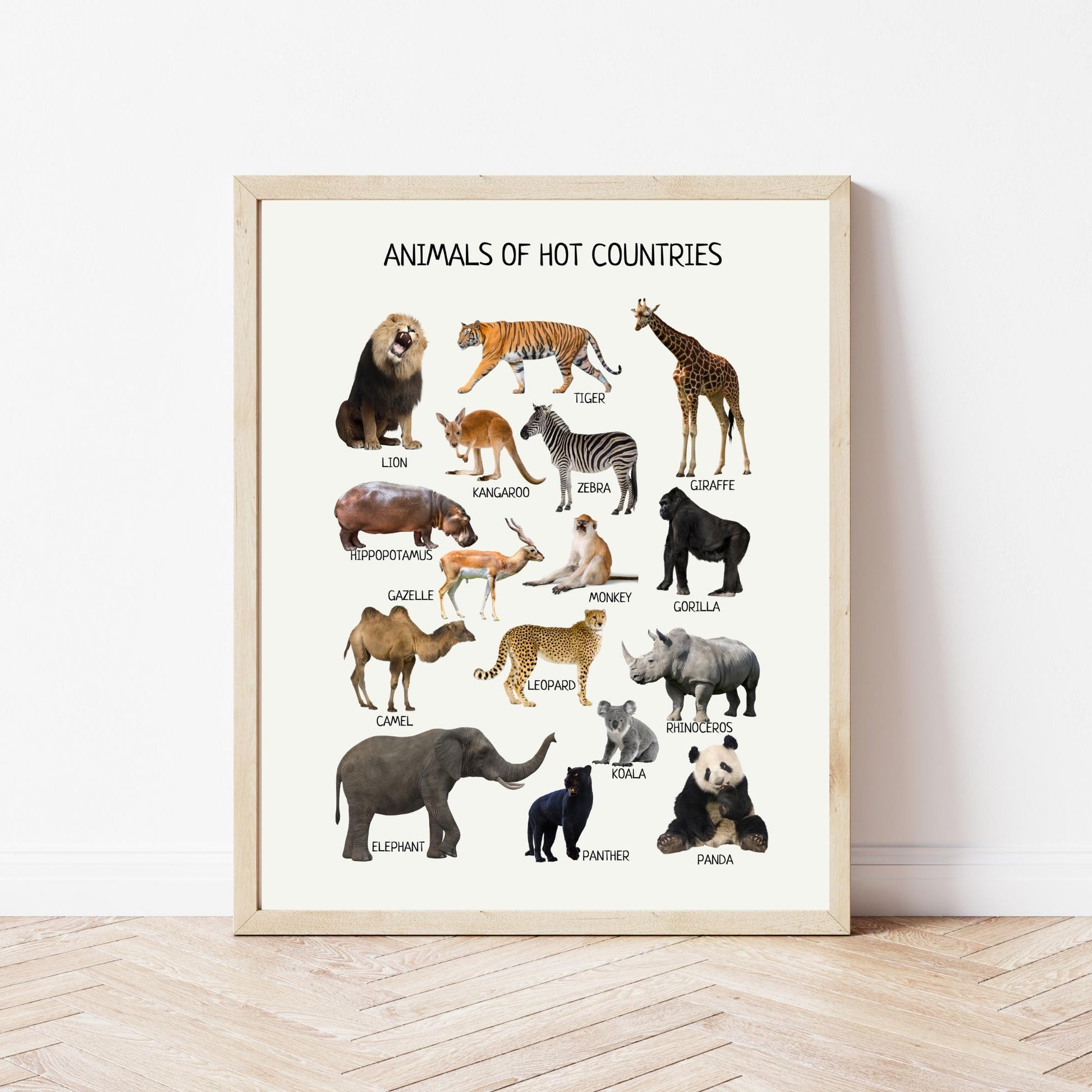 Animals of Hot Countries Poster, Wild Animals Poster, Educational Wall Art Poster, Classroom Decor