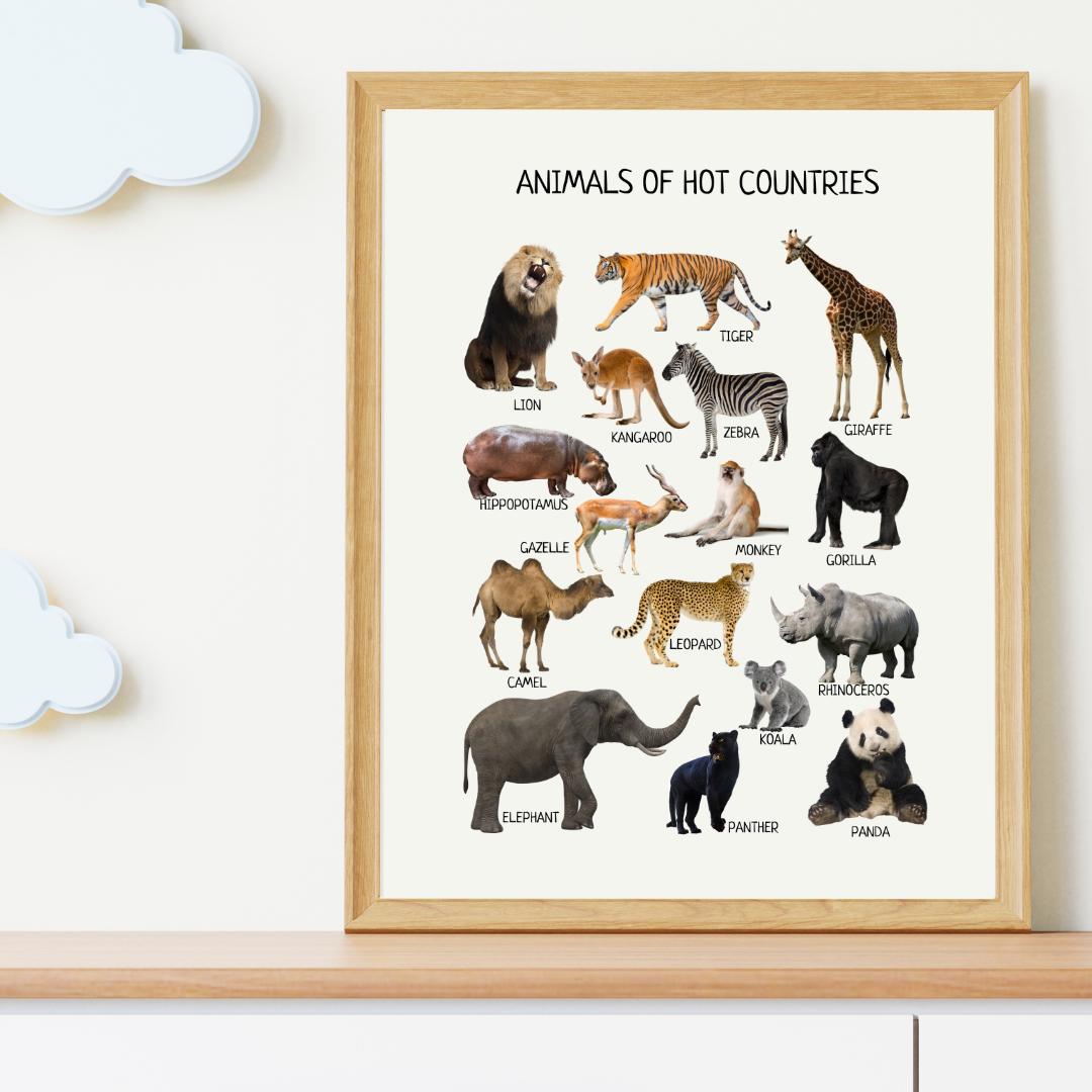 Animals of Hot Countries Poster, Wild Animals Poster, Educational Wall Art Poster, Classroom Decor