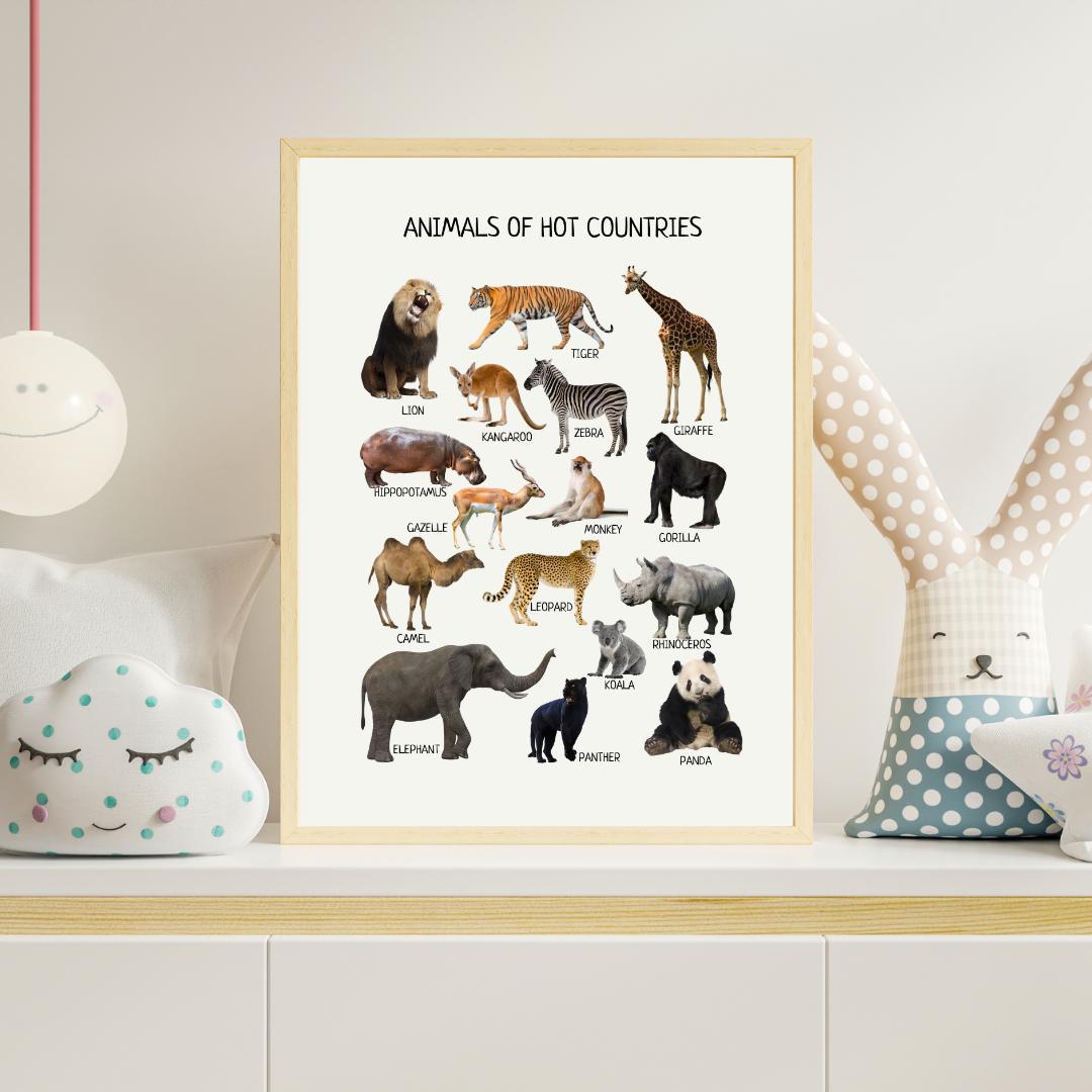 Animals of Hot Countries Poster, Wild Animals Poster, Educational Wall Art Poster, Classroom Decor