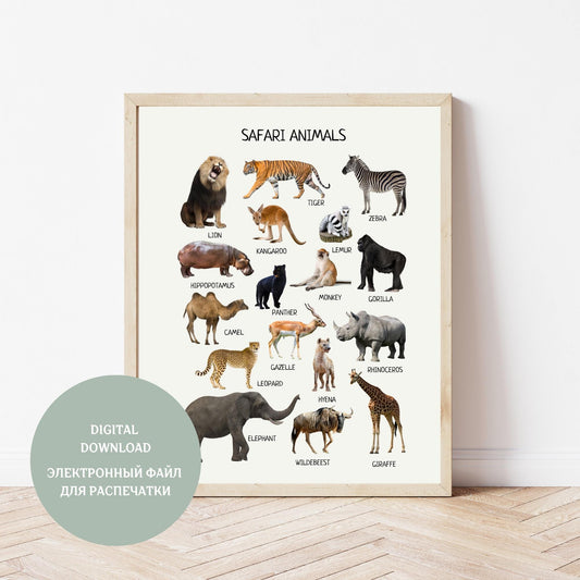 Safari Animals Educational Poster, Montessori Printable Animal Decor, Wild Animals Classroom Decor, Nursery Room Decor, Digital Download