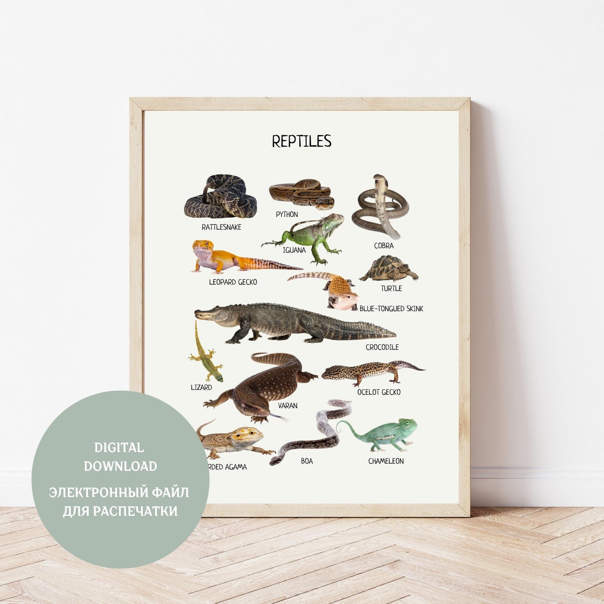 Reptiles Amphibians Montessori Educational Poster, Animal Poster, Toddler Room Decor, Montessori Learning Printables, Digital Download