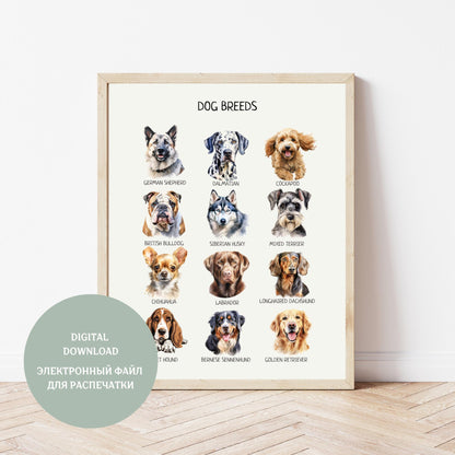 Dog Breeds Educational Poster, Montessori Wall Art, Kids Learning Material, Classroom Decor, Nursery Room Decor, DIGITAL DOWNLOAD