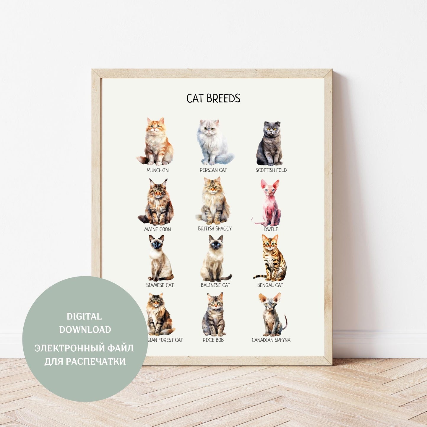 Cat Breeds Poster, Educational Learning Material, Montessori Wall Art Poster, Classroom Decor, Nursery Room Decor, DIGITAL DOWNLOAD