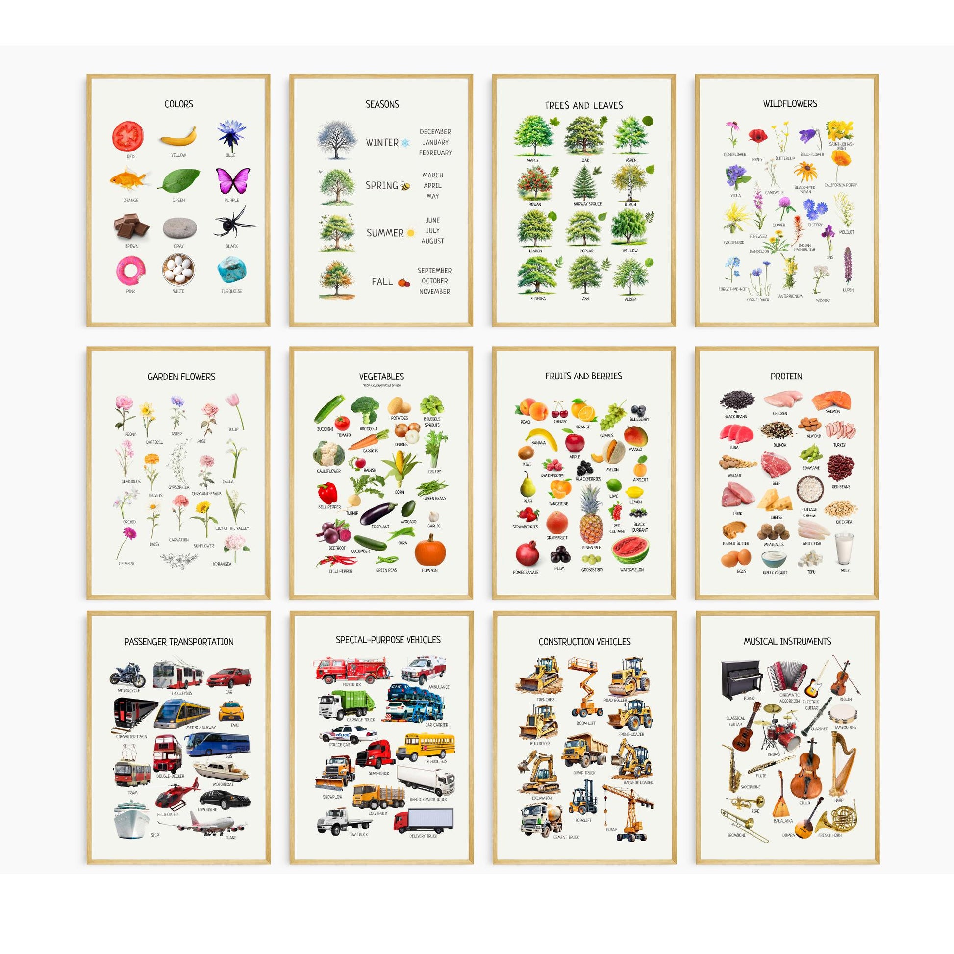Educational Posters | 36 Homeschool Prints | Montessori Classroom Decor | Learning Posters | 36 Topics for Young Children & Preschoolers