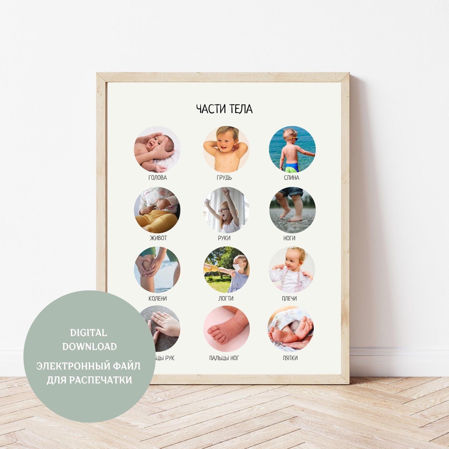 Обучающий плакат "Части тела" | My Body Educational Poster, Various Sizes Available for Download | Montessori Learning Printable Poster