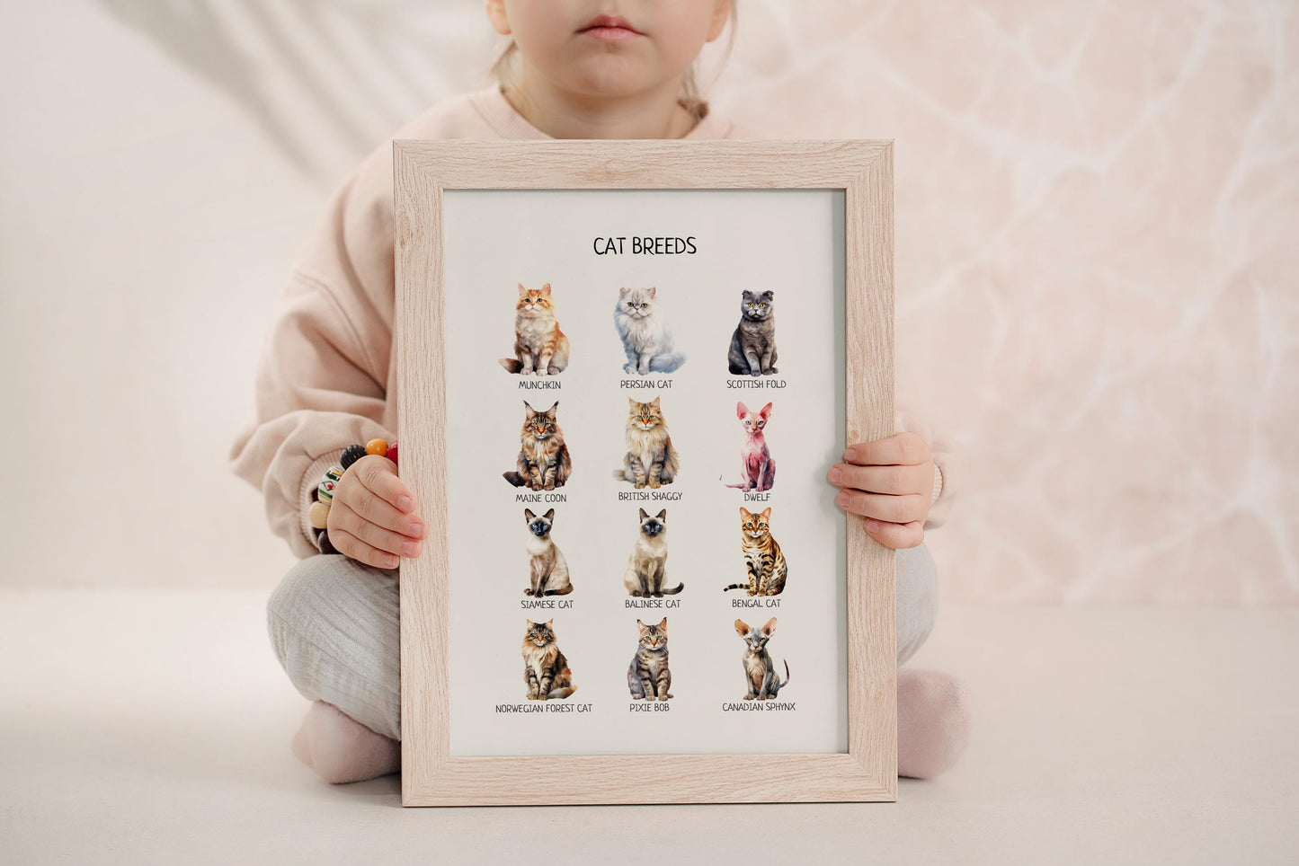 Cat Breeds Poster, Educational Learning Material, Montessori Wall Art Poster, Classroom Decor, Nursery Room Decor, DIGITAL DOWNLOAD