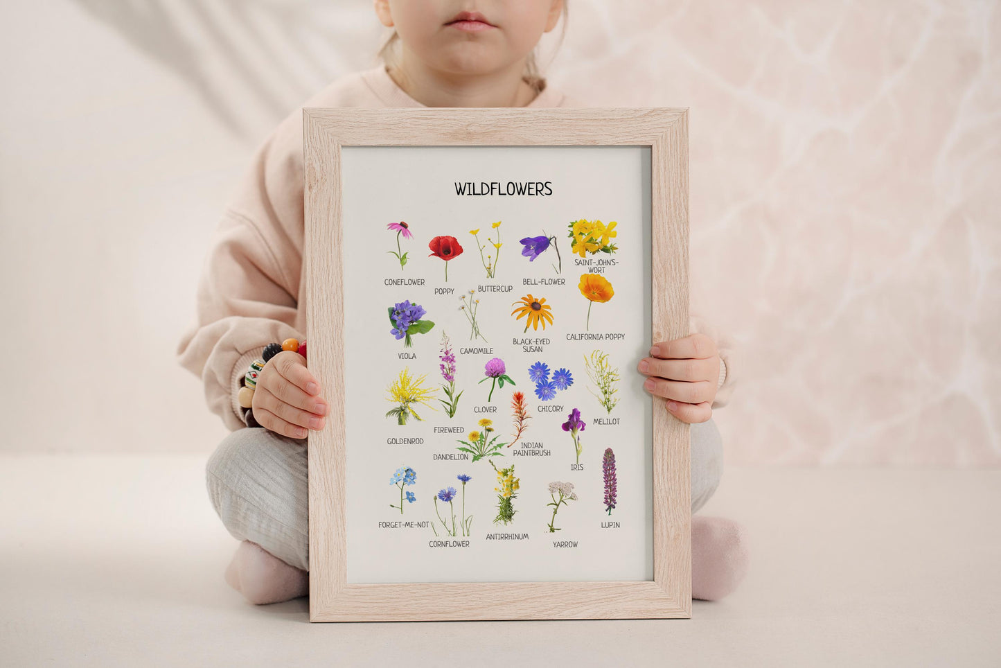 Wildflowers Poster, Educational Nature Poster, Flower Poster, Nursery Wall Art, Kids Room Decor, Montessori Material, Digital Download