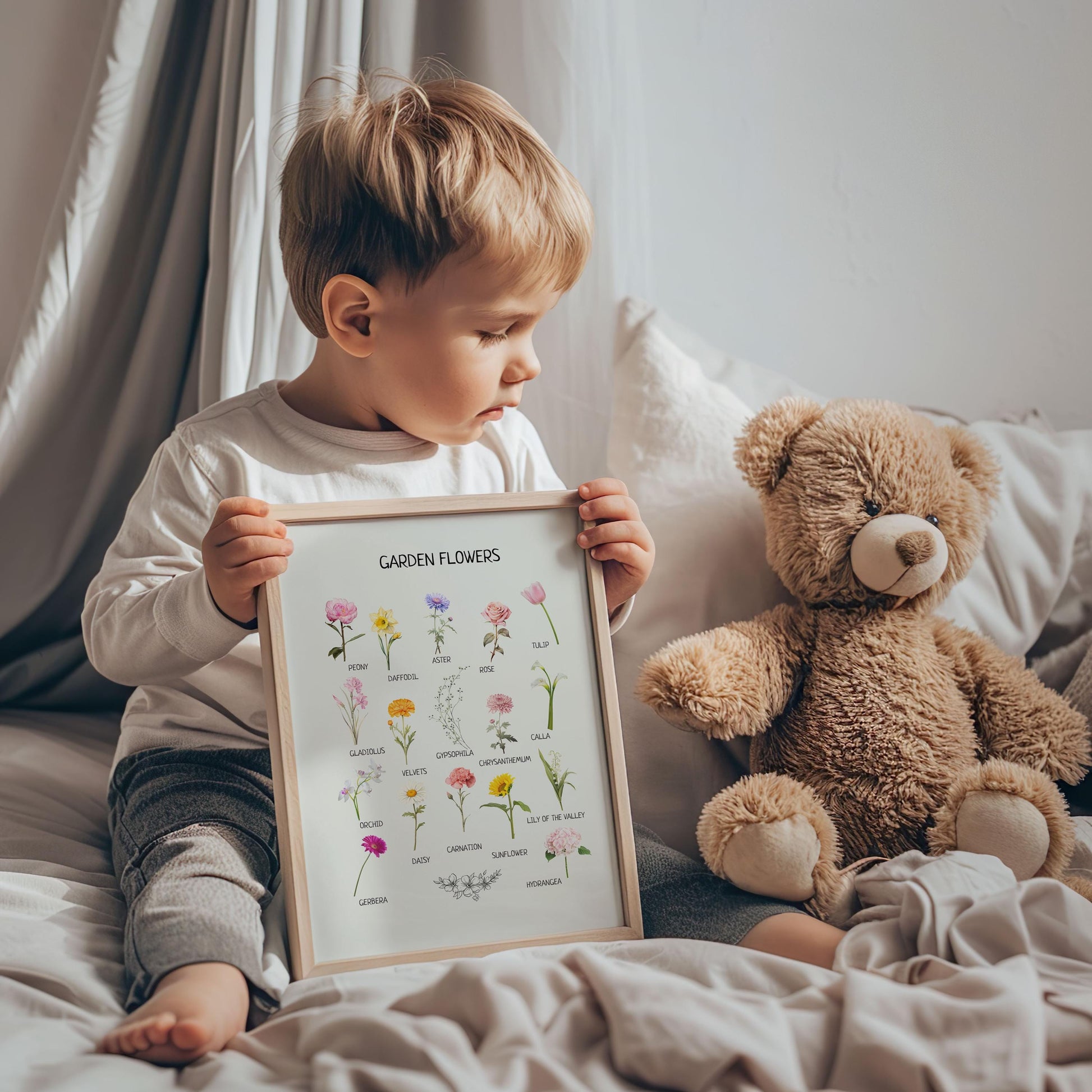 Educational Flowers Poster, Montessori Learning Material, Classroom Decor, Kids Homeschool Decor, Botanical Poster, DIGITAL DOWNLOAD