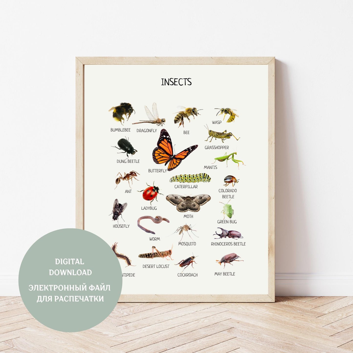 Insects Educational Posters, Classroom Posters, Printable Wall Art, Montessori Decor, Homeschool Preschool Learning Prints, DIGITAL DOWNLOAD