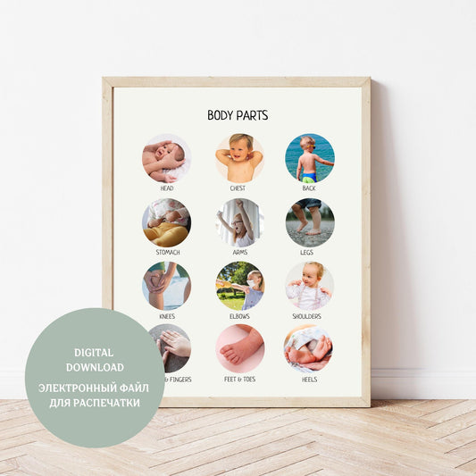 My Body Educational Poster, Printable Wall Art, Body Parts Poster, Preschool Kids Anatomy Poster, Kids Room Decor, Digital Download