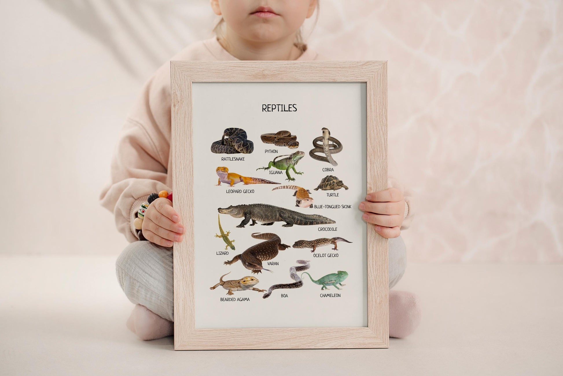 Reptiles Amphibians Montessori Educational Poster, Animal Poster, Toddler Room Decor, Montessori Learning Printables, Digital Download