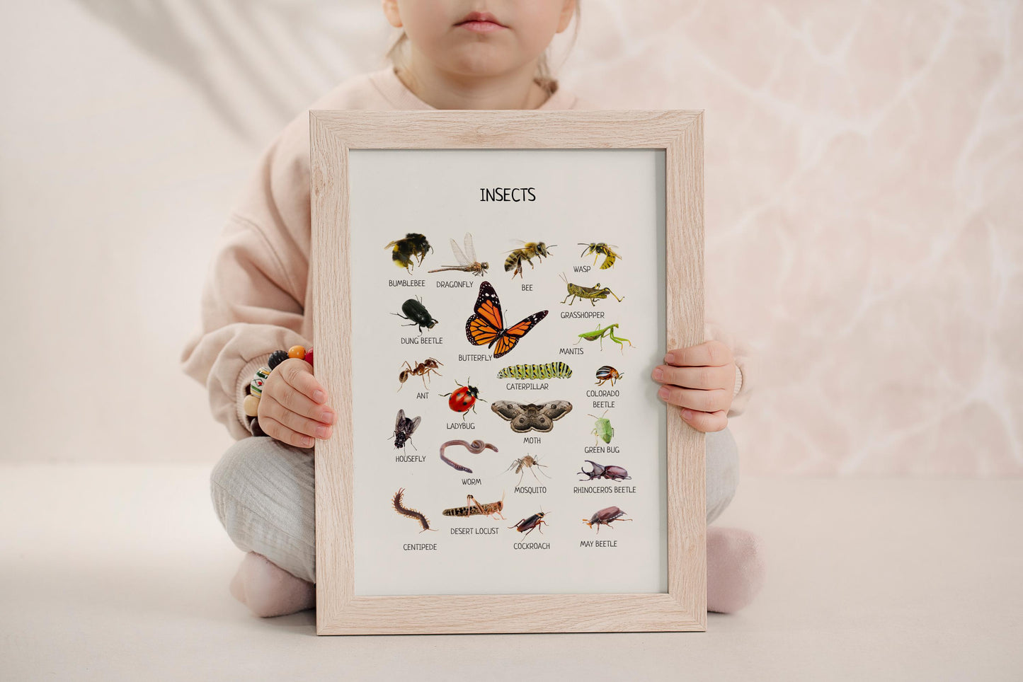 Insects Educational Posters, Classroom Posters, Printable Wall Art, Montessori Decor, Homeschool Preschool Learning Prints, DIGITAL DOWNLOAD