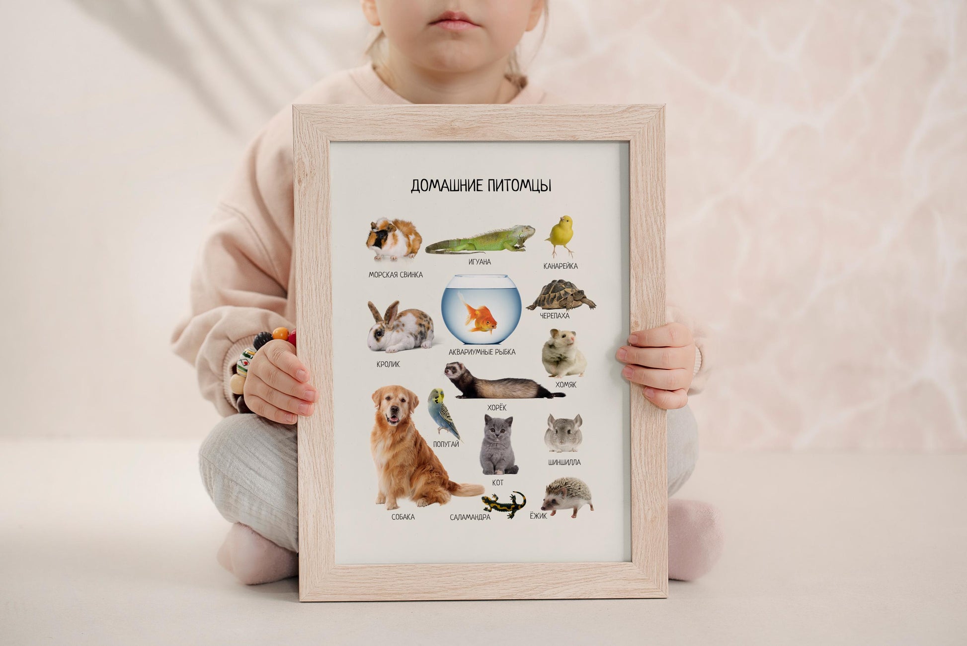 Обучающий плакат "Домашние питомцы" | Pets Educational Poster in Russian, Montessori Learning Poster, Kids Room Decor, Printable