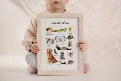 Обучающий плакат "Домашние питомцы" | Pets Educational Poster in Russian, Montessori Learning Poster, Kids Room Decor, Printable