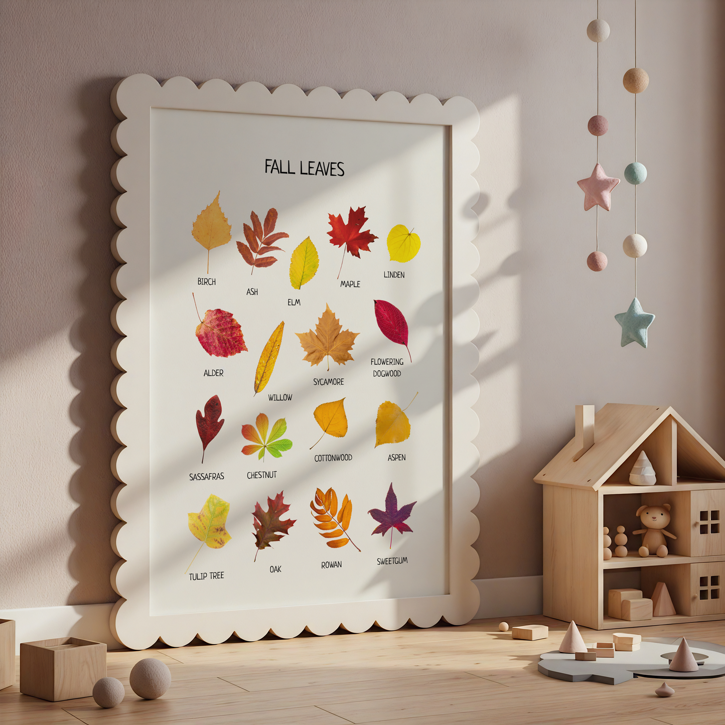 Fall Leaves Poster – Educational Nature Wall Art Print